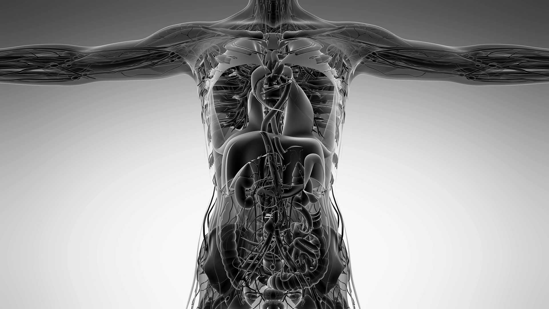 sc_Anatomy-Tomography-scan-of-human-body_34534564